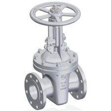 Задвижка 30лс41нж Ду 50 Ру16 с КОФ ИСПОЛНЕНИЕ F-Е прокладка спирально навитая